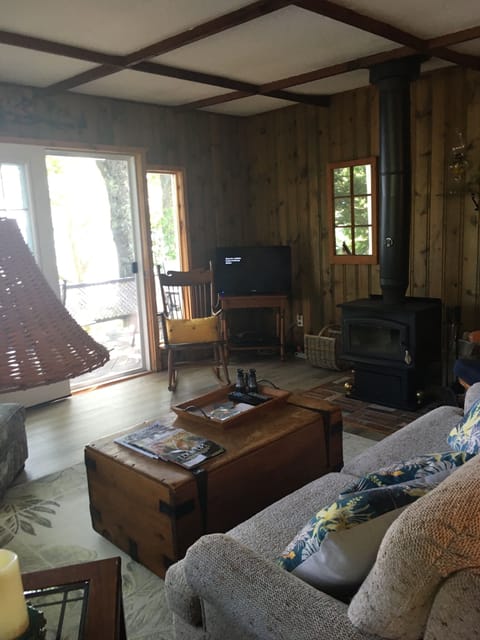 TV, fireplace, DVD player, books