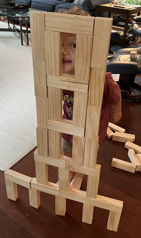 Big Jenga Blocks for building fun for the littles ones
