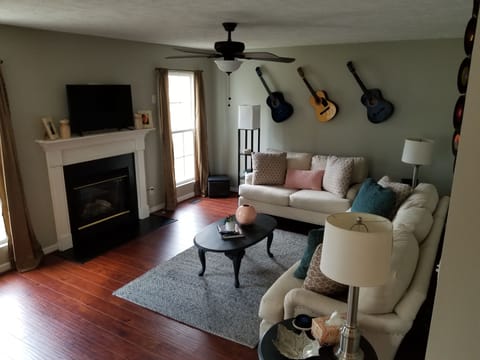 TV, fireplace, books