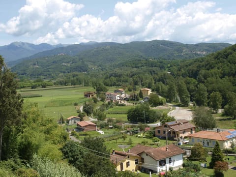 Another view from the patio.