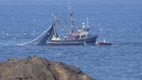 Squid Fishing Boat, taken from Rental.