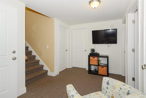 TV, fireplace, DVD player