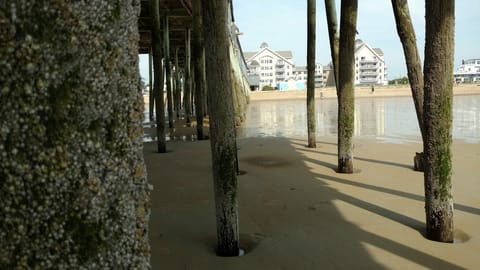 On the beach