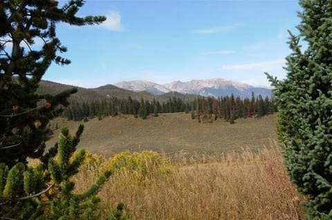 View from great room, master and guest rooms.