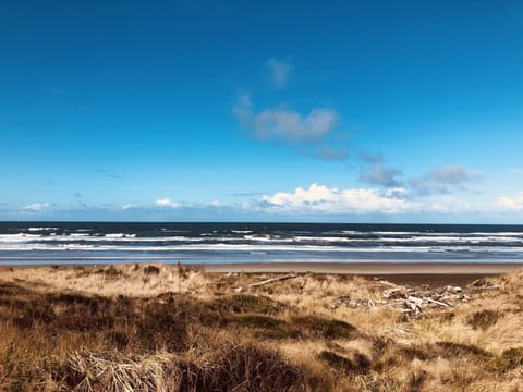 On the beach, sun loungers, beach towels