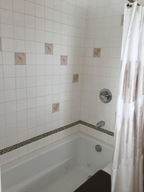 Combined shower/tub, hair dryer, towels, soap