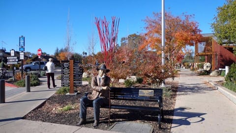 The main area for food, wine and shopping in Yountville