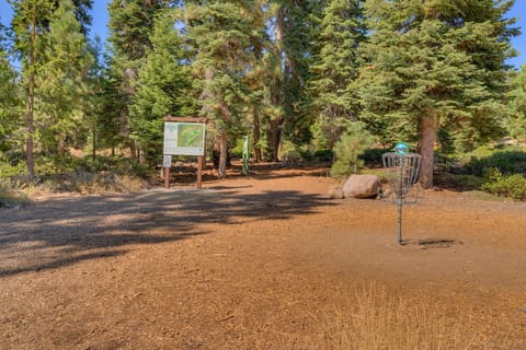 North Tahoe Regional Park Disc Golf Course