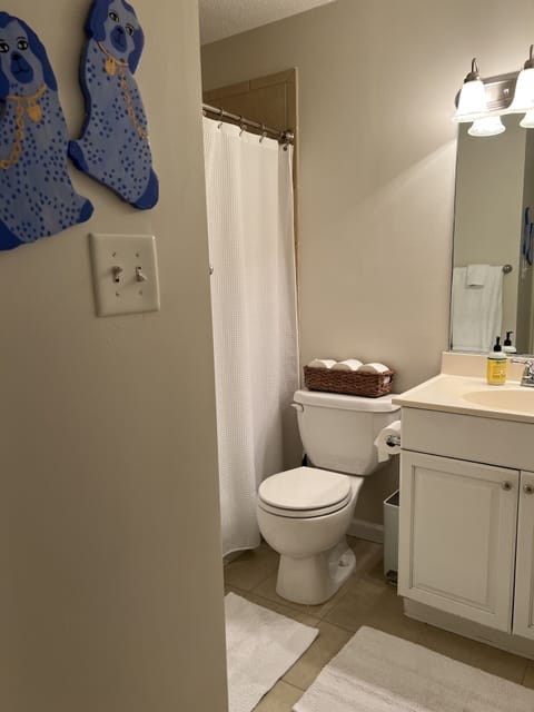 Combined shower/tub, hair dryer, towels, soap