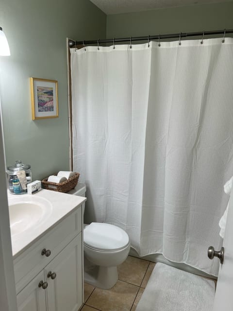 Combined shower/tub, hair dryer, towels, soap