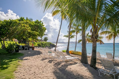 Sun loungers, beach towels