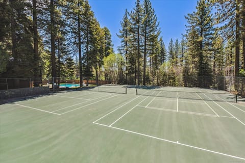 Sport court