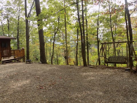 Large driveway with view of Mt. Leconte.  We have a fire pit and swing.