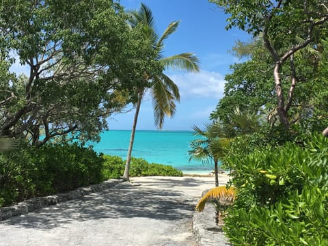 On the beach, sun loungers, beach towels