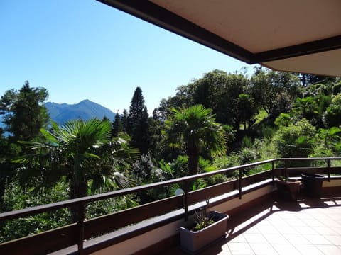 View from the terrace