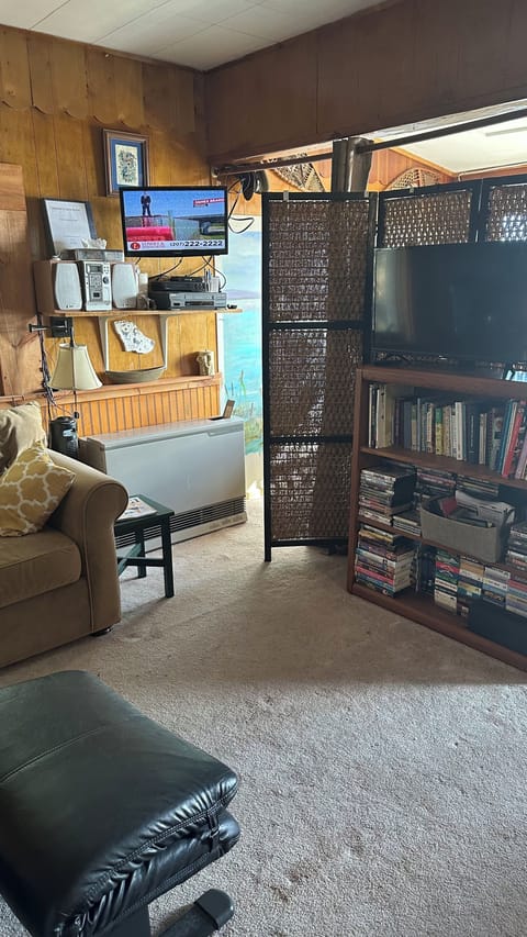 TV, DVD player, books, video library