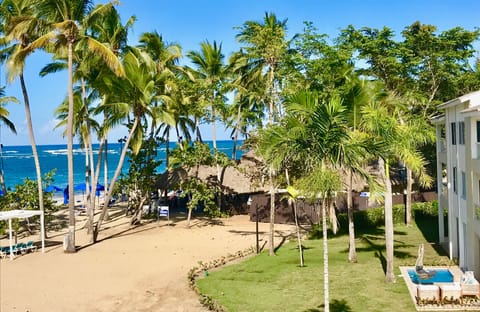 On the beach, sun loungers, beach towels