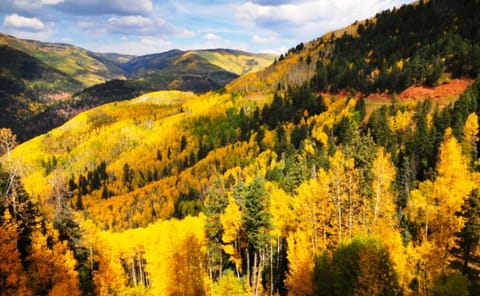 Quick drive up to Cripple Creek - Stunning views in the Fall!!!