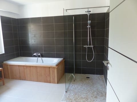 Combined shower/tub, hair dryer, towels