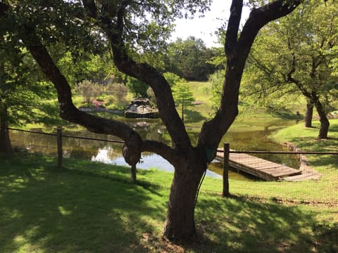Pond from Circular Driveway
