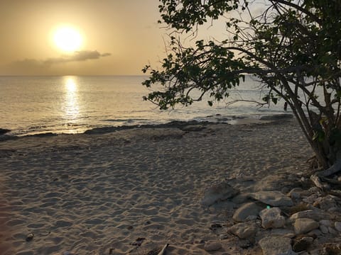 On the beach, sun loungers, beach towels