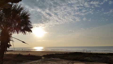 Beach | On the beach