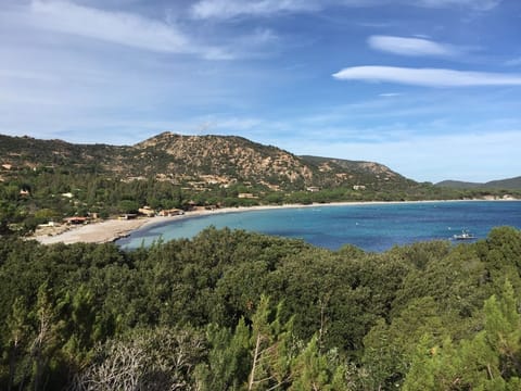 Beach nearby, beach towels