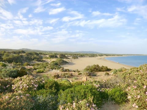 Beach nearby, sun loungers, beach towels