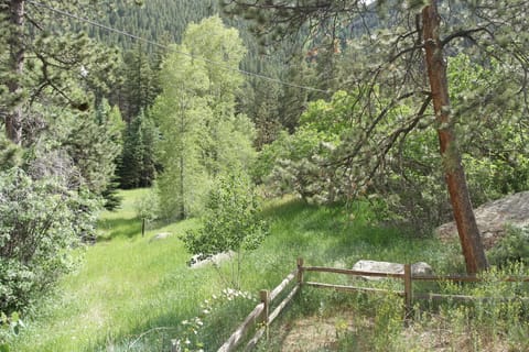 view from kitchen window