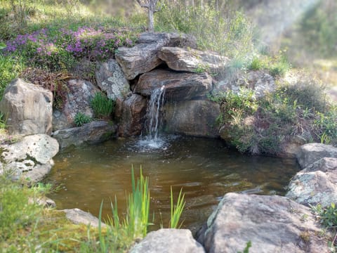 Soothing sound of water in the yard. 