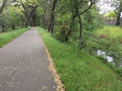 View of Bike Path