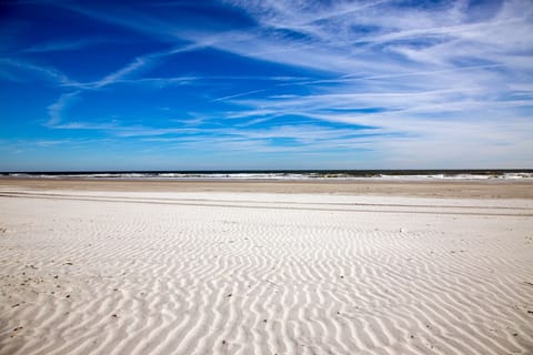 On the beach