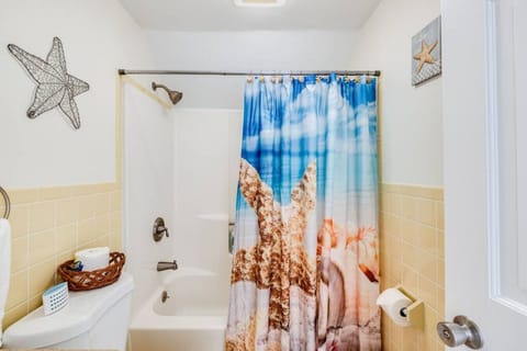 Combined shower/tub, hair dryer