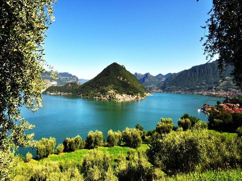 Region [summer] (>5 km)