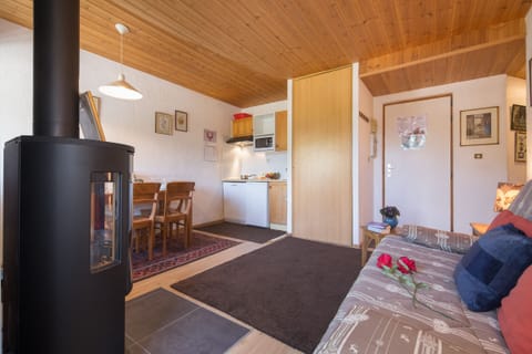 Wood burning stove for cosy winter evenings