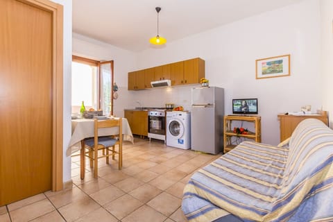 Open plan living room with kitchen and sleeping sofa for 2