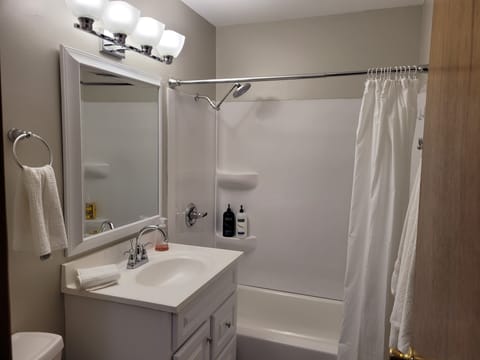 Combined shower/tub, hair dryer, towels, soap