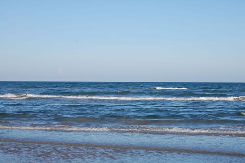 Beach nearby, sun loungers