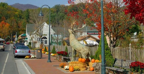 Downtown Banner Elk in the Fall