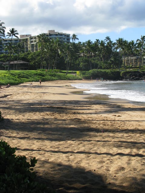 Sun loungers, beach towels