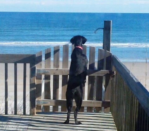 On the beach