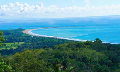 Beach nearby, sun loungers, beach towels