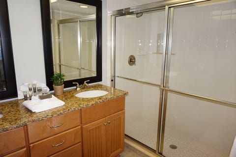 Combined shower/tub, hair dryer, towels