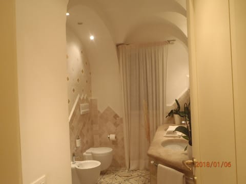 Combined shower/tub, hair dryer, bidet, towels