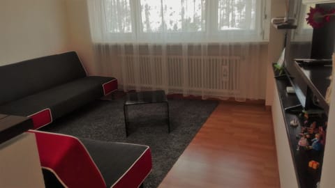 Smart TV, fireplace, books, offices