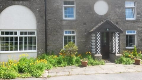 Welsh poppies in bloom outside Ty Cerbyd