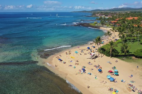 Sun loungers, beach towels