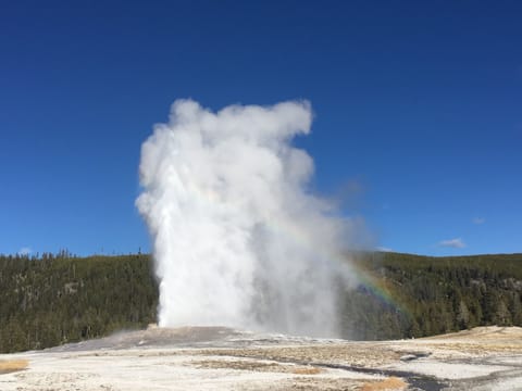 One of Yellowstone's 500 geysers