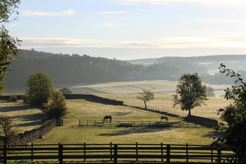 Season of mists and mellow fruitfulness, across the Lowther valley to Whale.