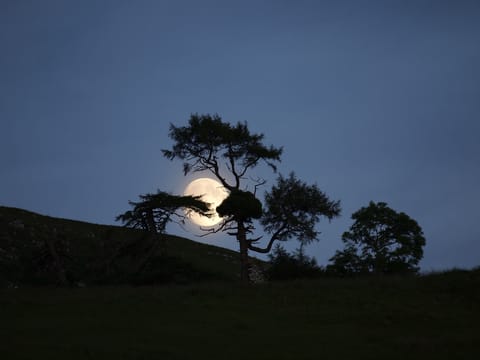 The moon rising above the ruins on the farm